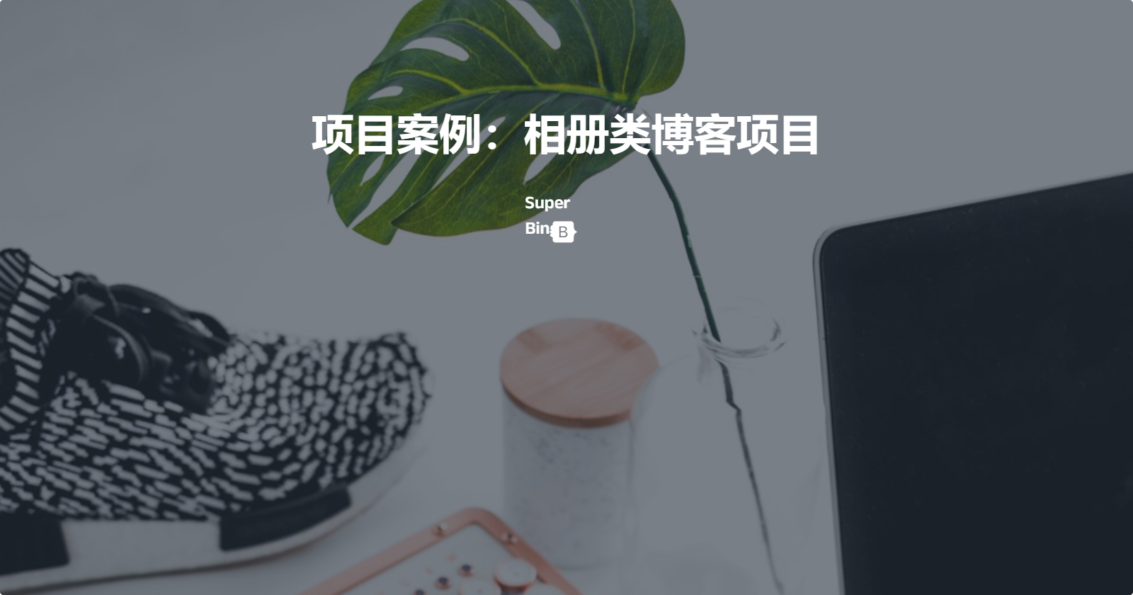 10-项目案例:相册类博客项目