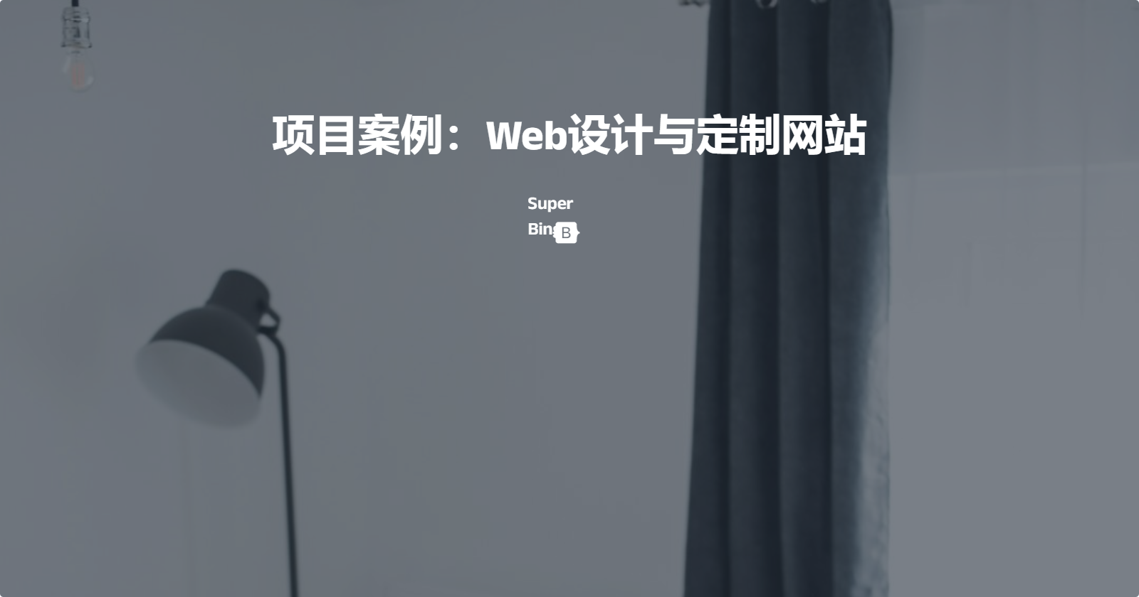 12-项目案例:Web设计与定制网站